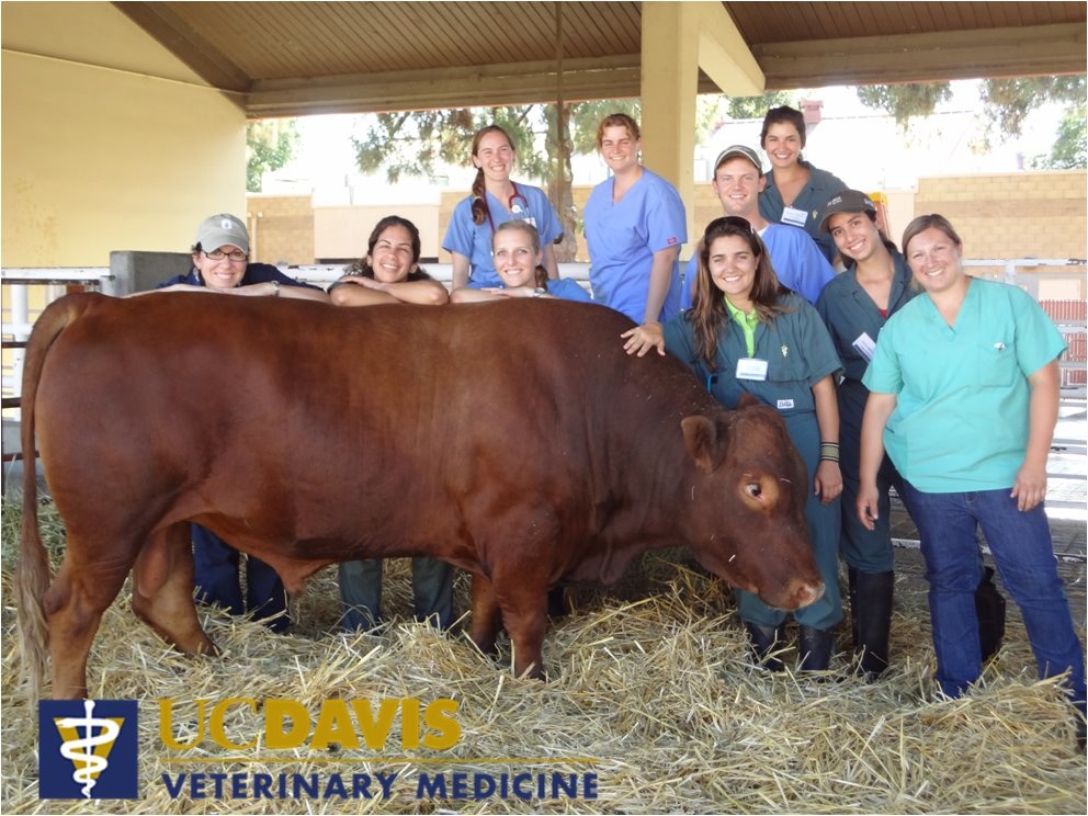 septic system cost texas cities 
      zip batch